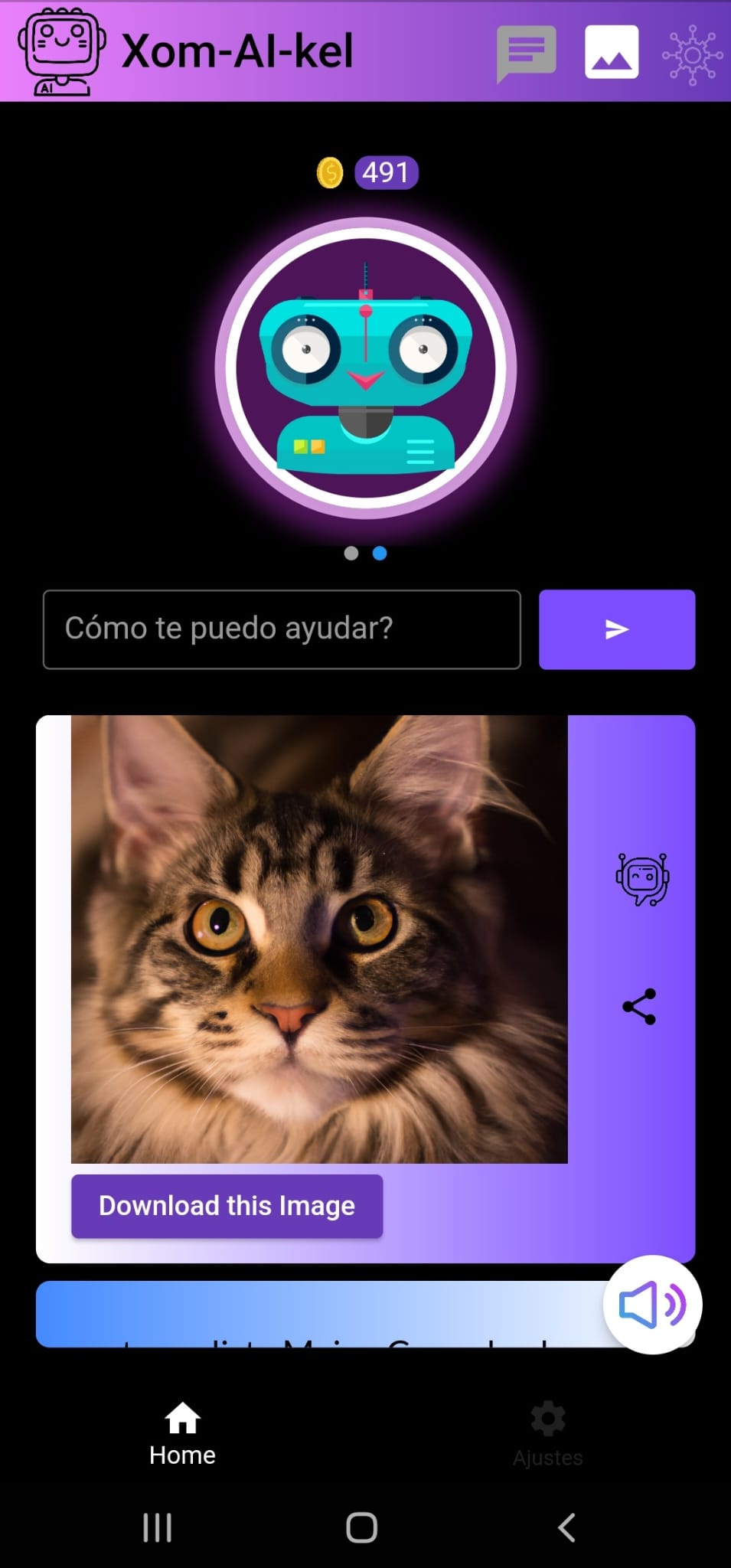 Raimundo Interface